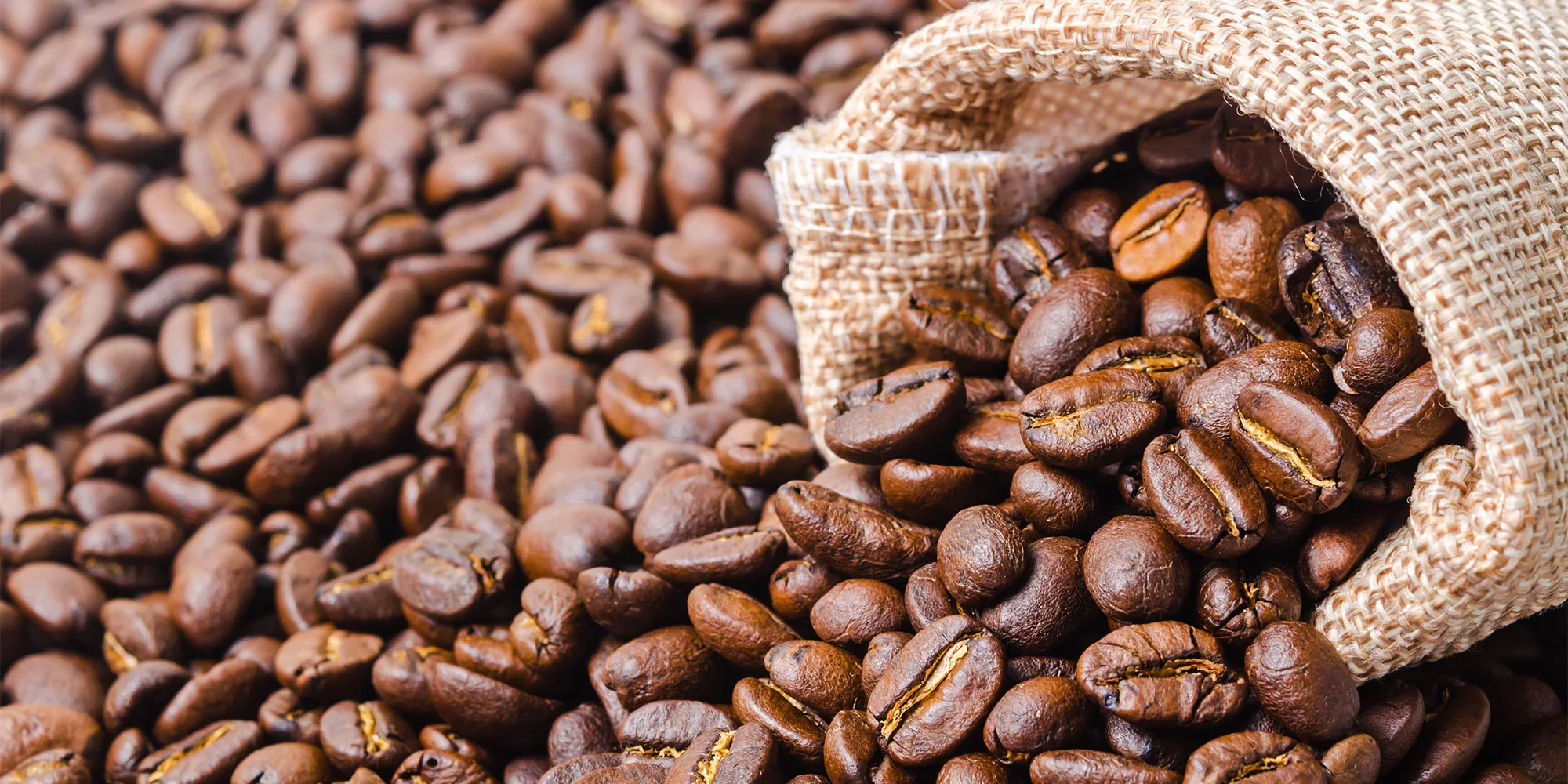 Arabica Coffee Beans