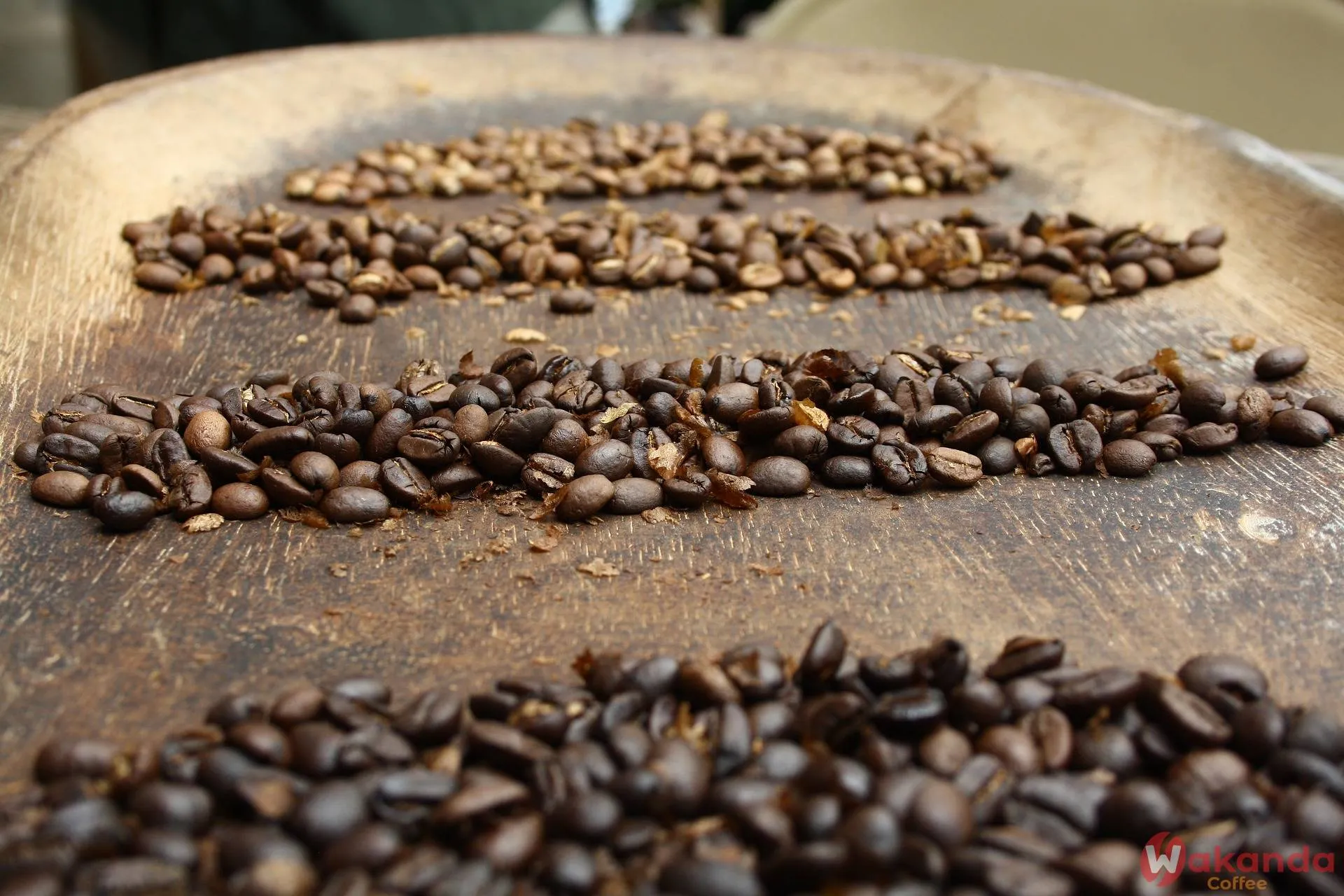 Arabica & Robusta Coffee Blend