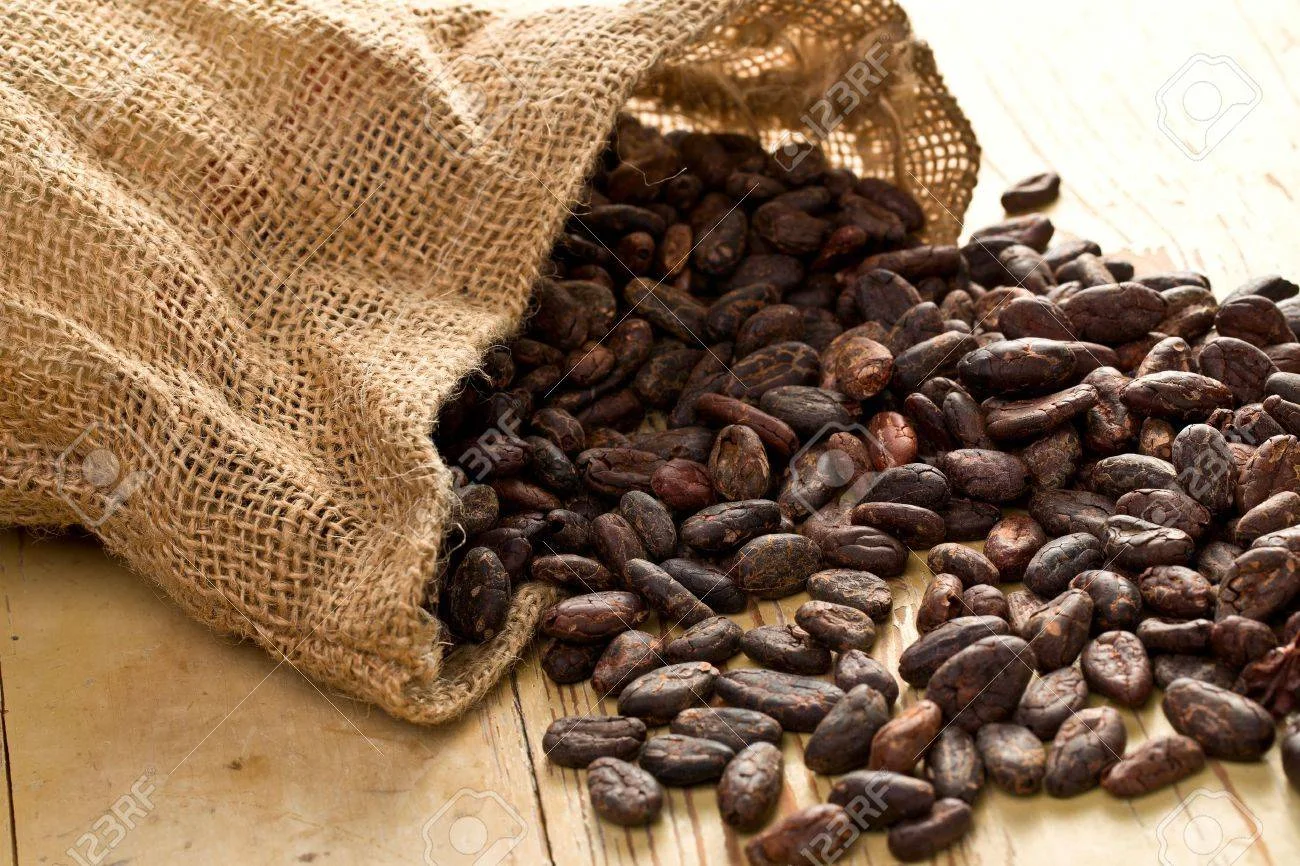 Raw Cocoa Beans – Grade B (Bulk/Commercial Grade)