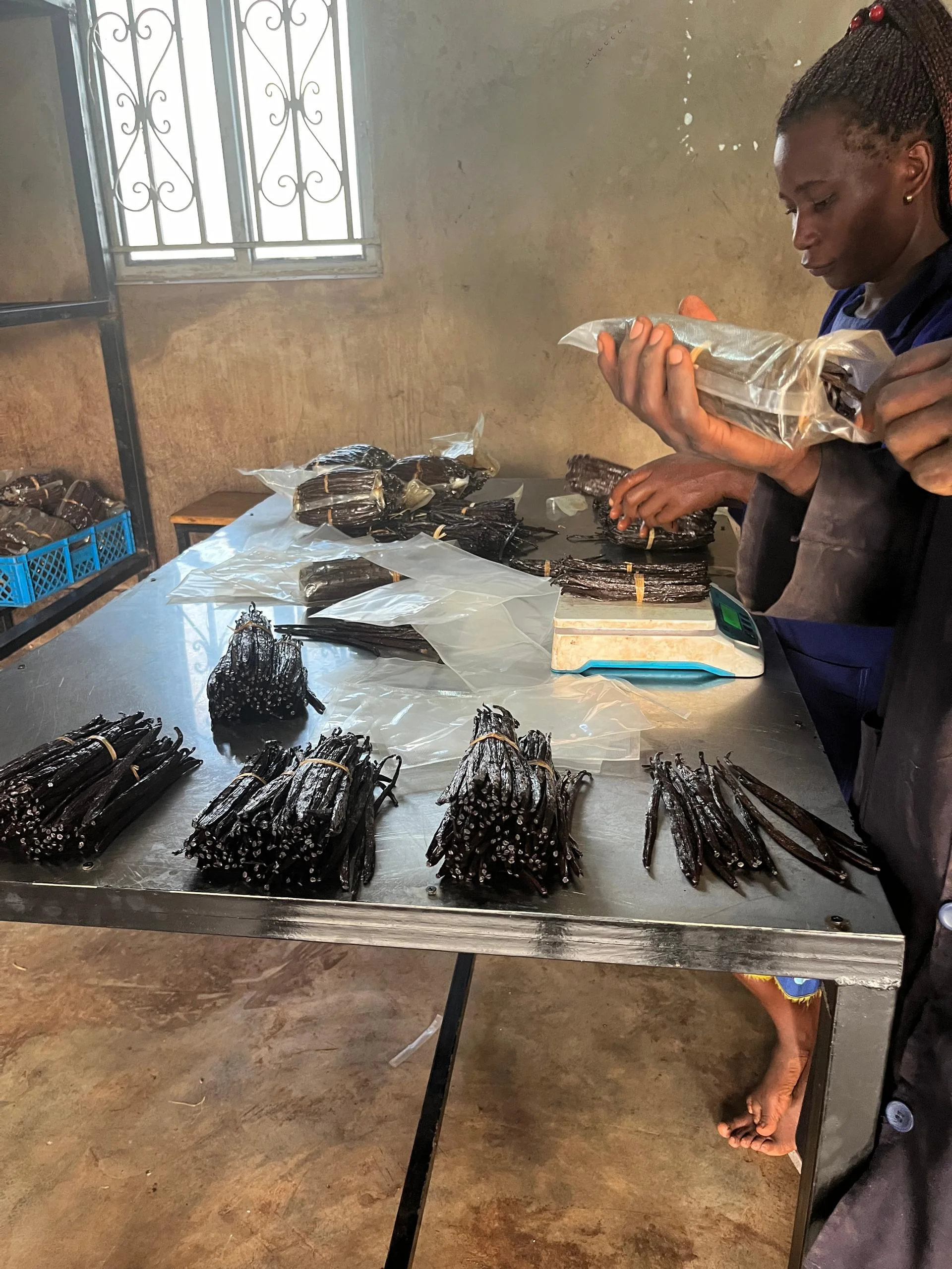 Vanilla Beans Gourmet