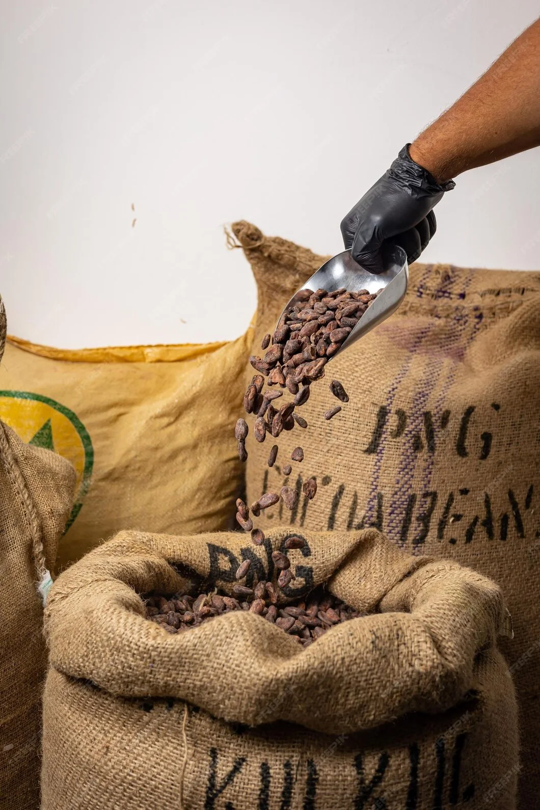 Raw Cocoa Beans – Grade A (Premium/Fine Flavor)