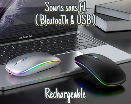 Souris bleutooth sans fil ( rechargeable  )