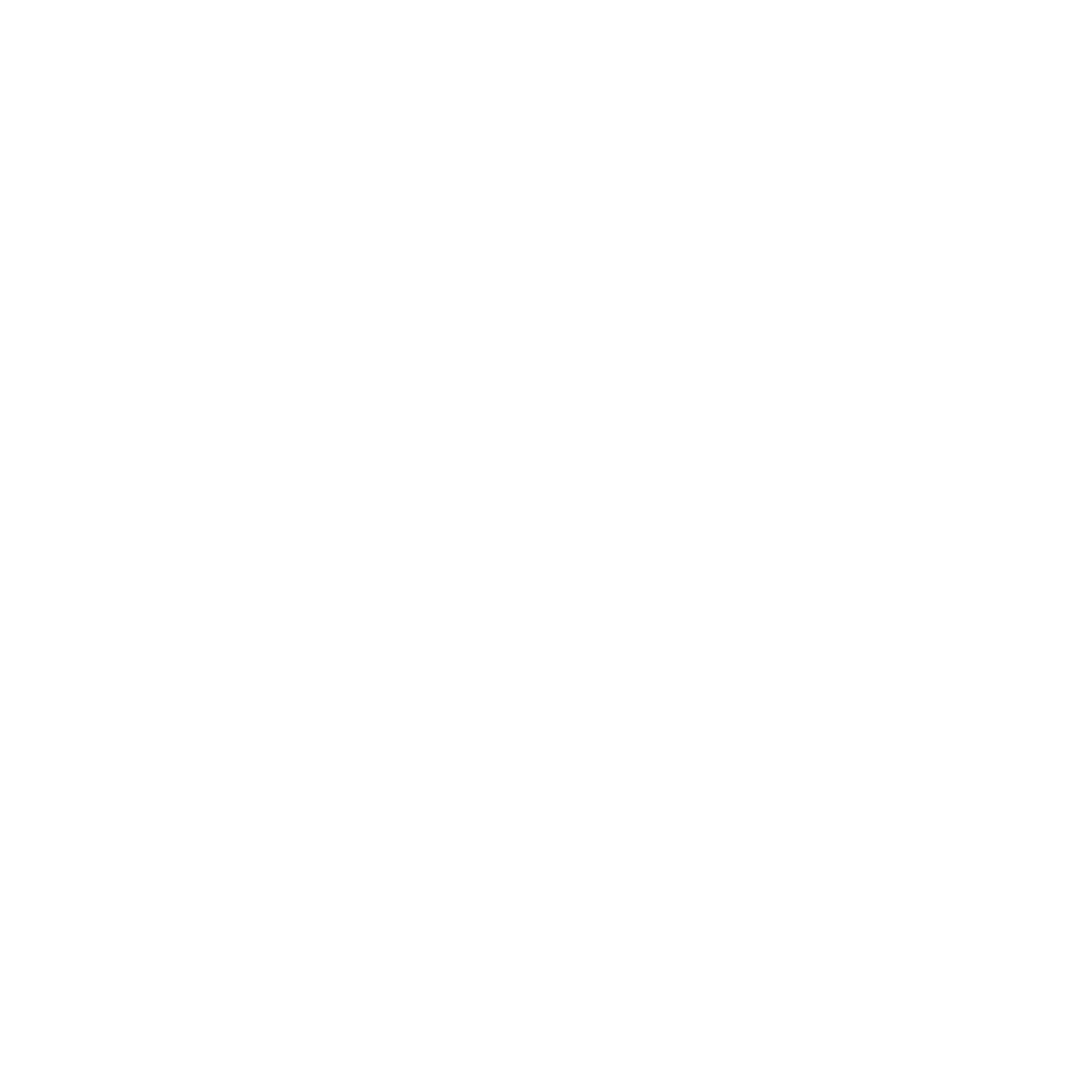 digital core