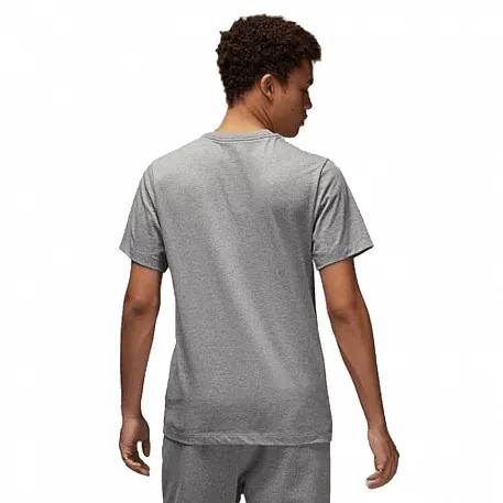 Men's Jordan Graphics Crew Neck T Shirt