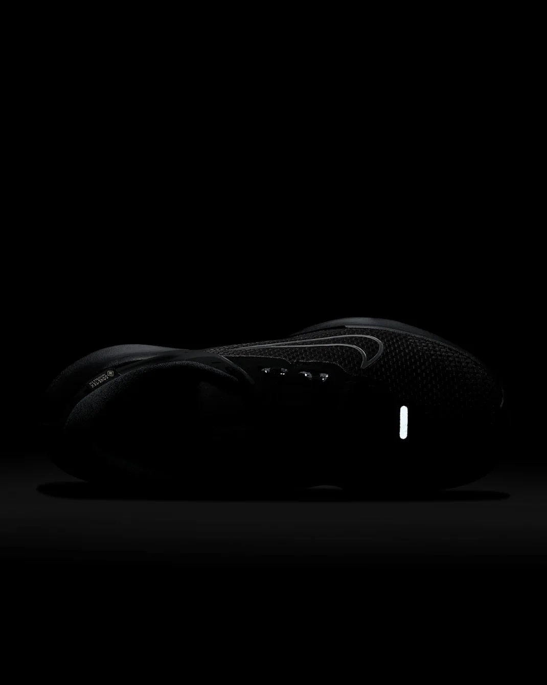 Nike Juniper Trail 2 GORE-TEX