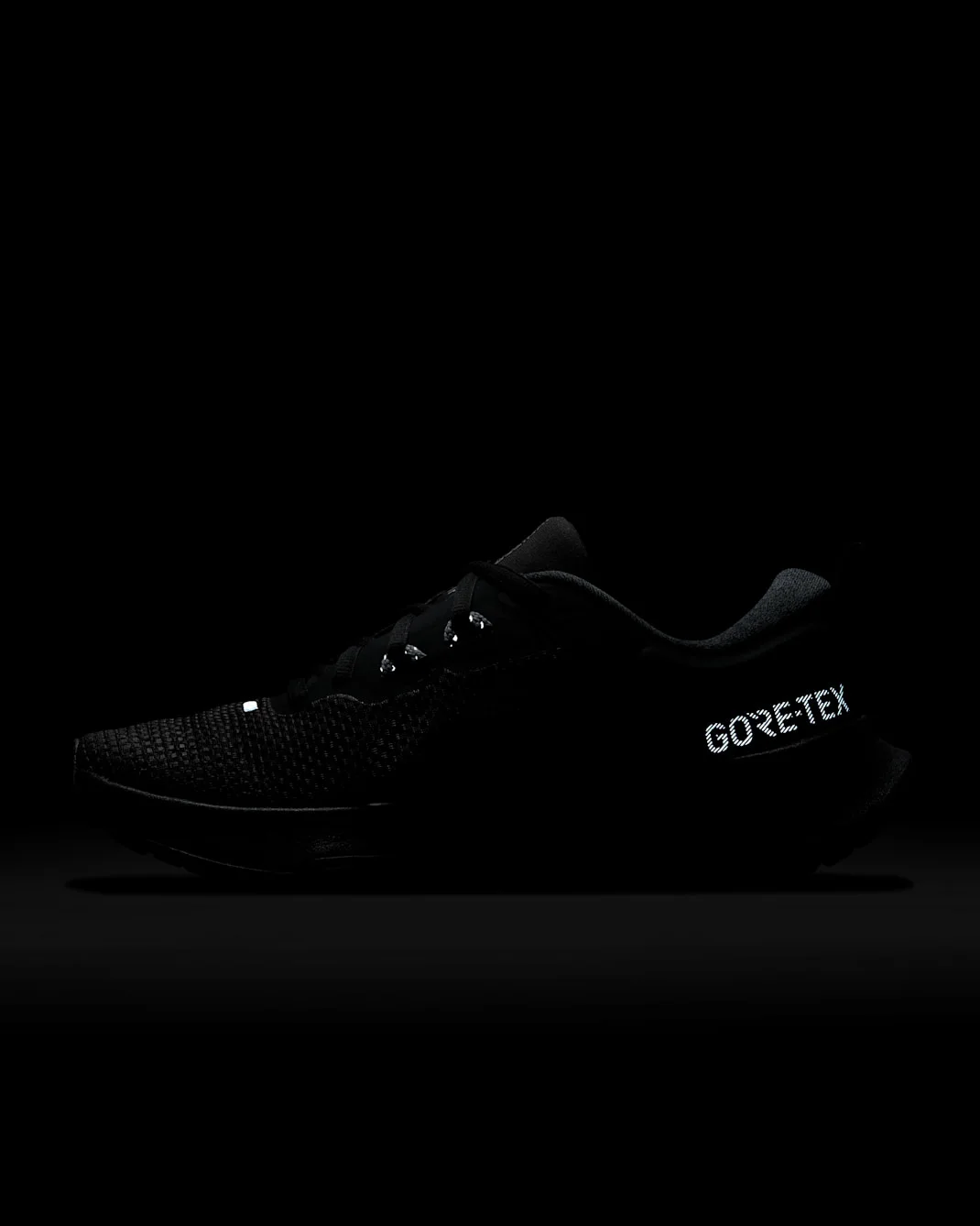Nike Juniper Trail 2 GORE-TEX