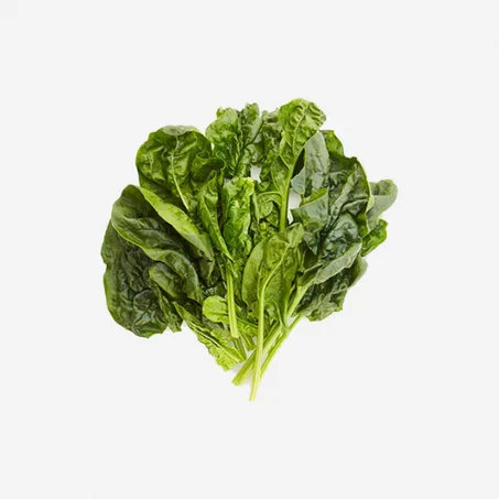 Épinard – إبينار