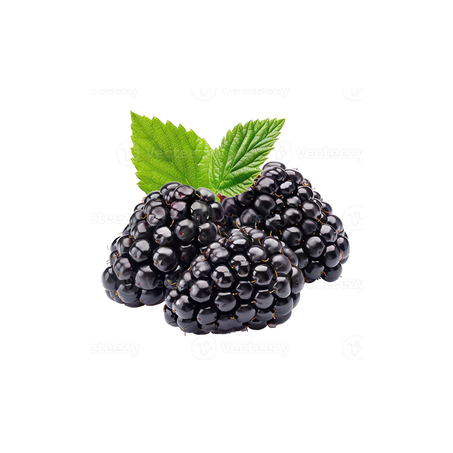 botte 1/توت أسود