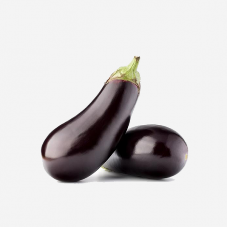 Aubergine – باذنجان /Kg