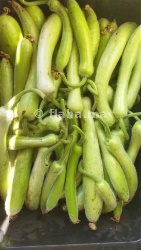 1Kg/Courgette Slaouia  سلاوي