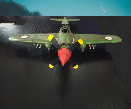 Avion de Collection Roquin