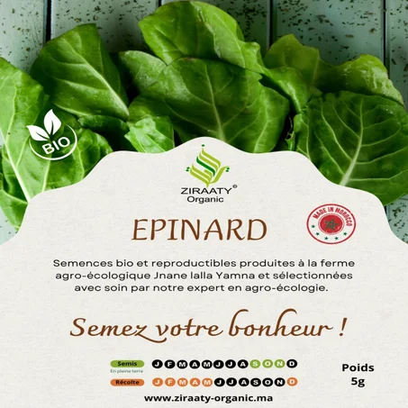 Epinard