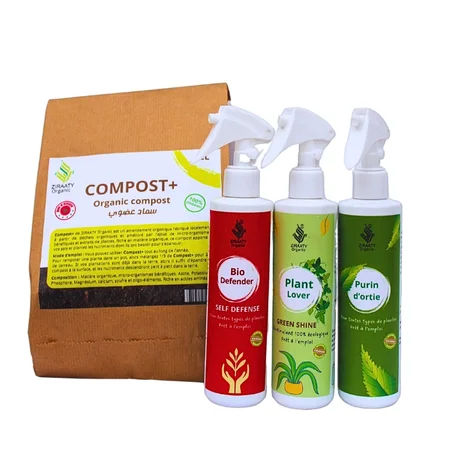 Pack Plantes d'intérieur et d'extérieur