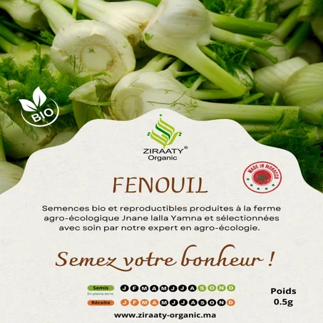 Fenouil