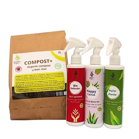 Pack Cactus-Succulentes