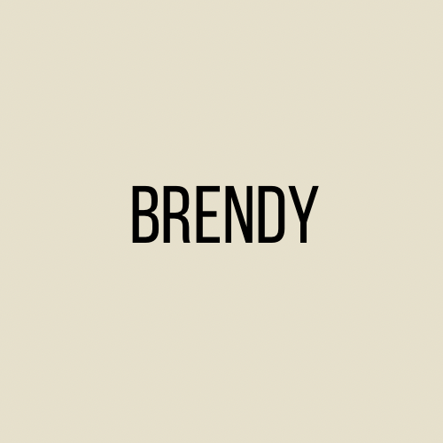 Brendystore