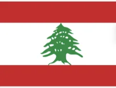 lebnoun