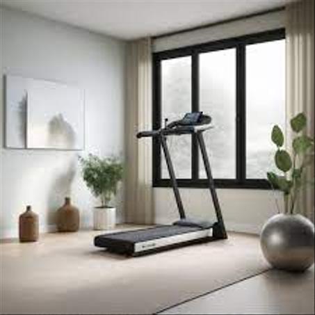 الرياضة واللياقة البدنية