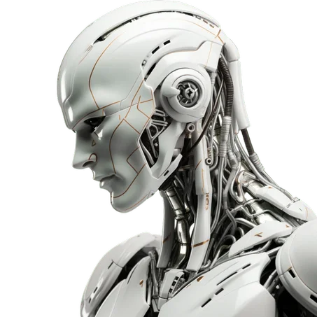 خدمات برمجية احترافية