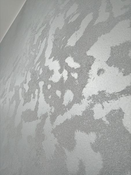 صباغة سيلفيا – لمسة أناقة تزين جدرانك