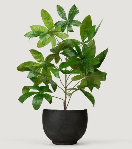 مزهرية ديكور أنيقة للمنازل العصرية – لمسة فنية تضيف جمالاً لأي مكان