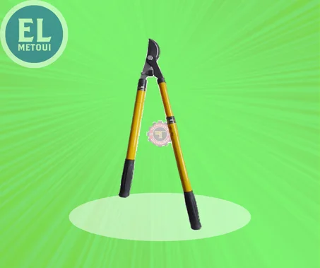 Sécateur 2 mains télescopique