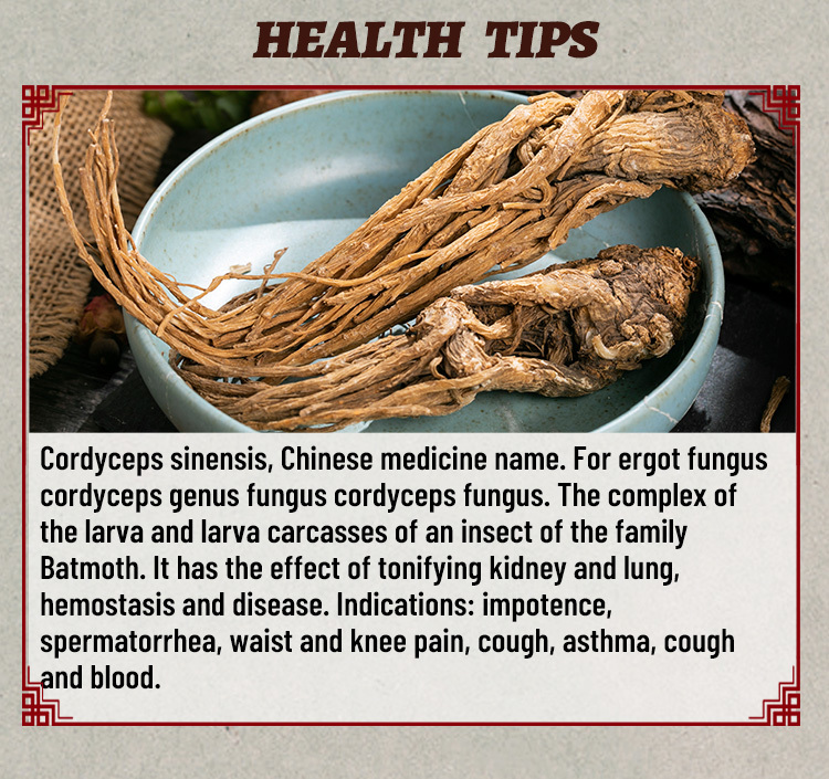 Capsule cordyceps