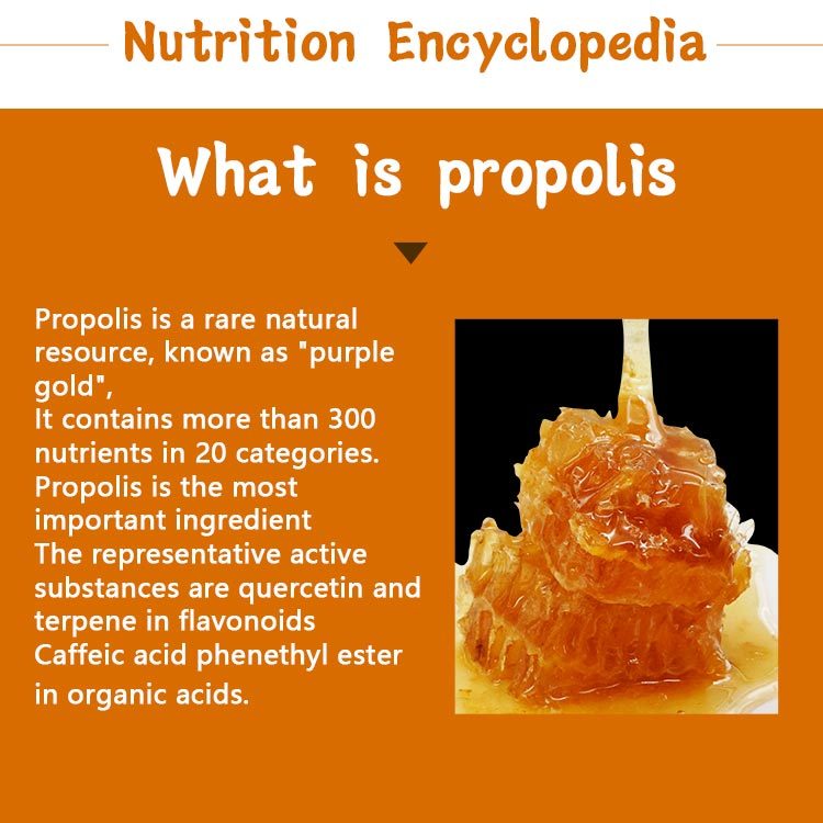 Capsule Propolis
