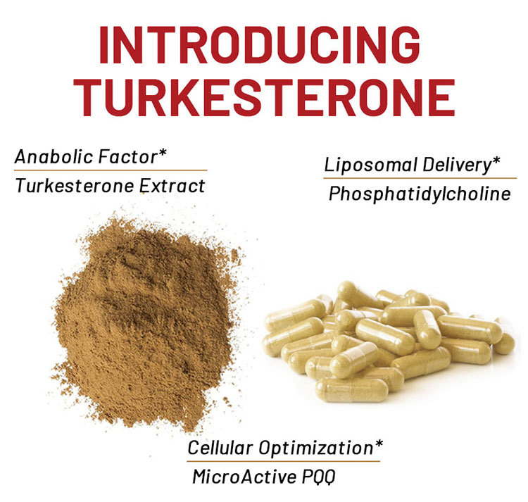 Capsule Tukesterone