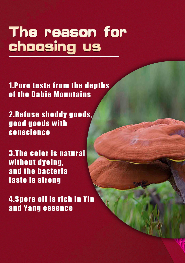 Capsule Ganoderma