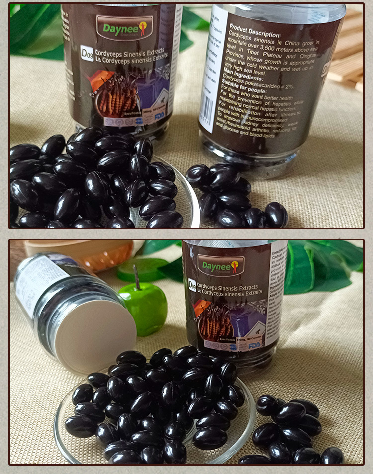 Capsule cordyceps