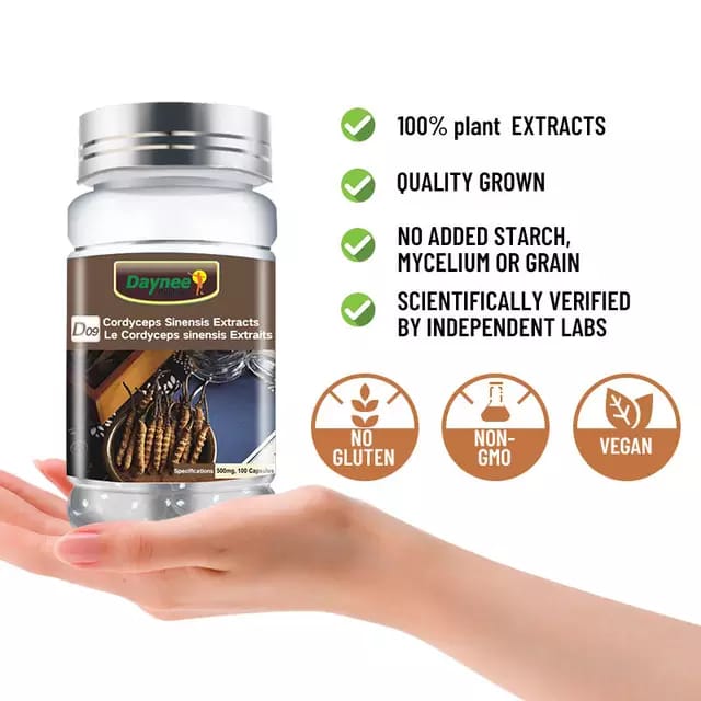 Capsule cordyceps
