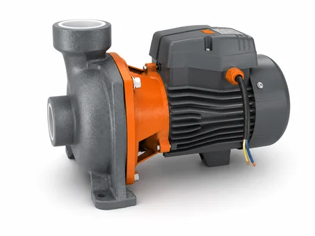 Pompe à eau LEO ACm150B2 – 2 HP