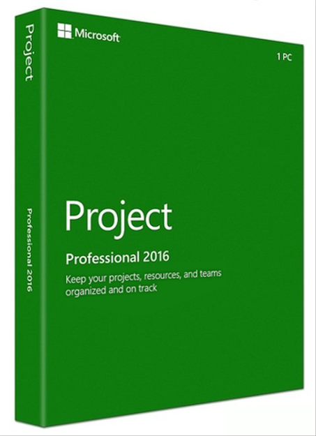 Microsoft Project 2016 Professional (PC)