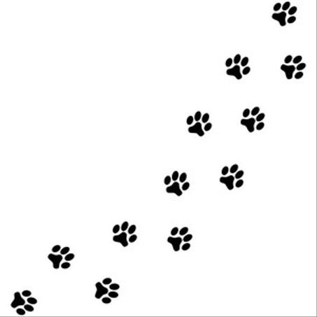 عالم الحيونات الاليفة