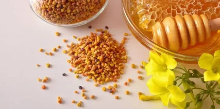 حبوب لقاح النحل