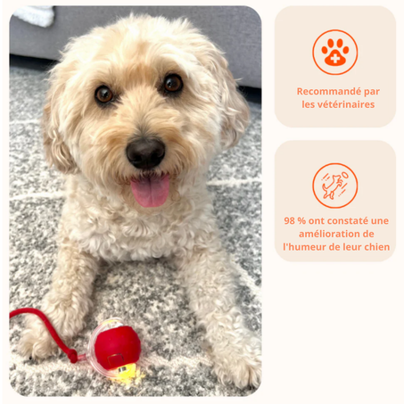 SmartBalle interactive pour chien