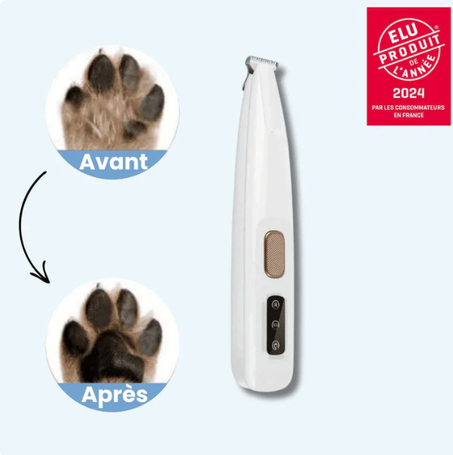 Tondeuse pour Patounes de Chien - Toilettage Facile à Domicile !