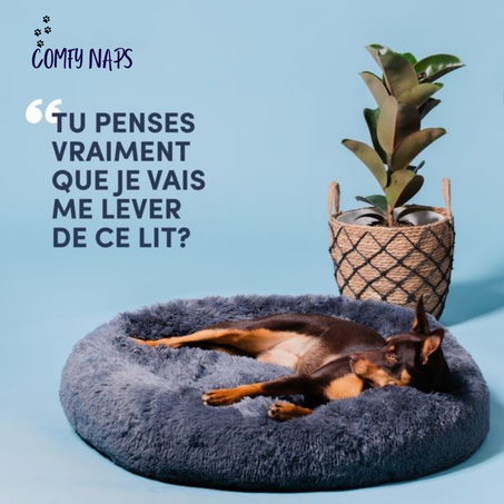 Lit apaisant pour chiens et chats