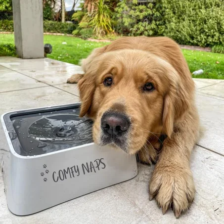 Bol Anti-Déversement ComfyNaps™