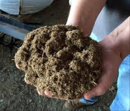 Donkey shit real pack