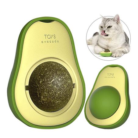 avocado for cats