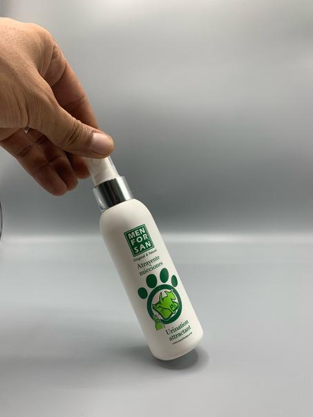 مساعد القطط