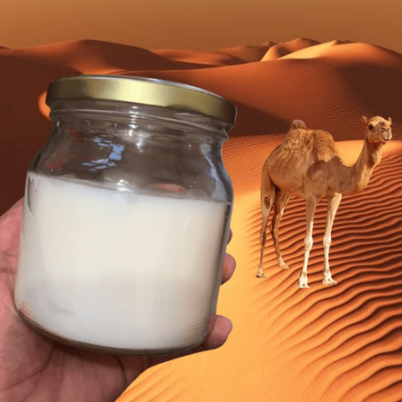 دروة الجمل الدهن العجيب