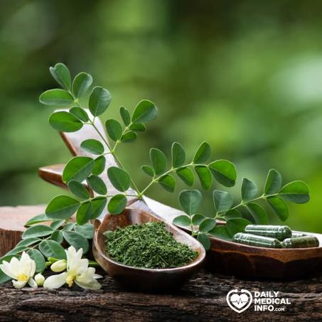 كبسولات المورينجا غذاء طبيعي خارق مستخلص من شجرة صغيرة إسمها المورينجا