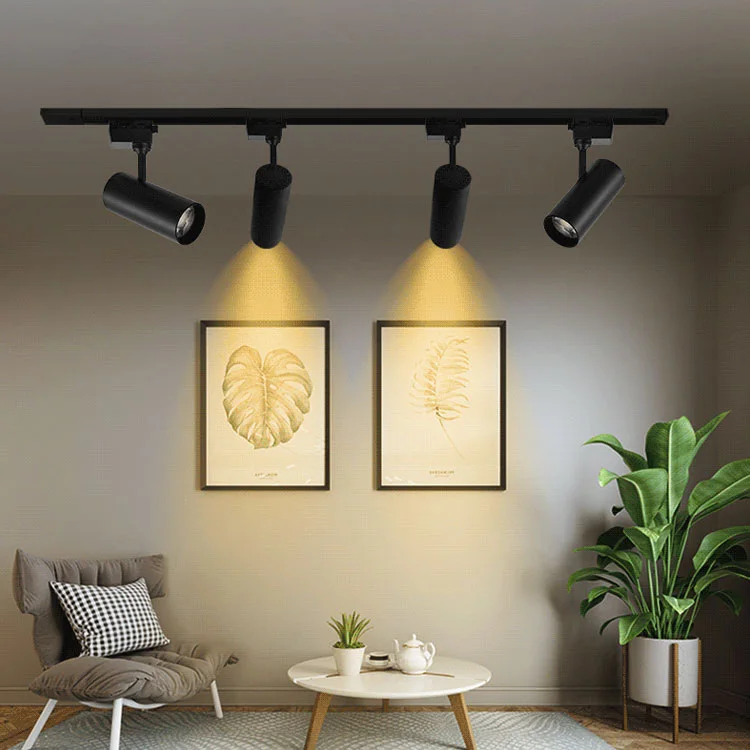 Projecteur sur Rail LED 30W Noir 6500K/4000K (B69)