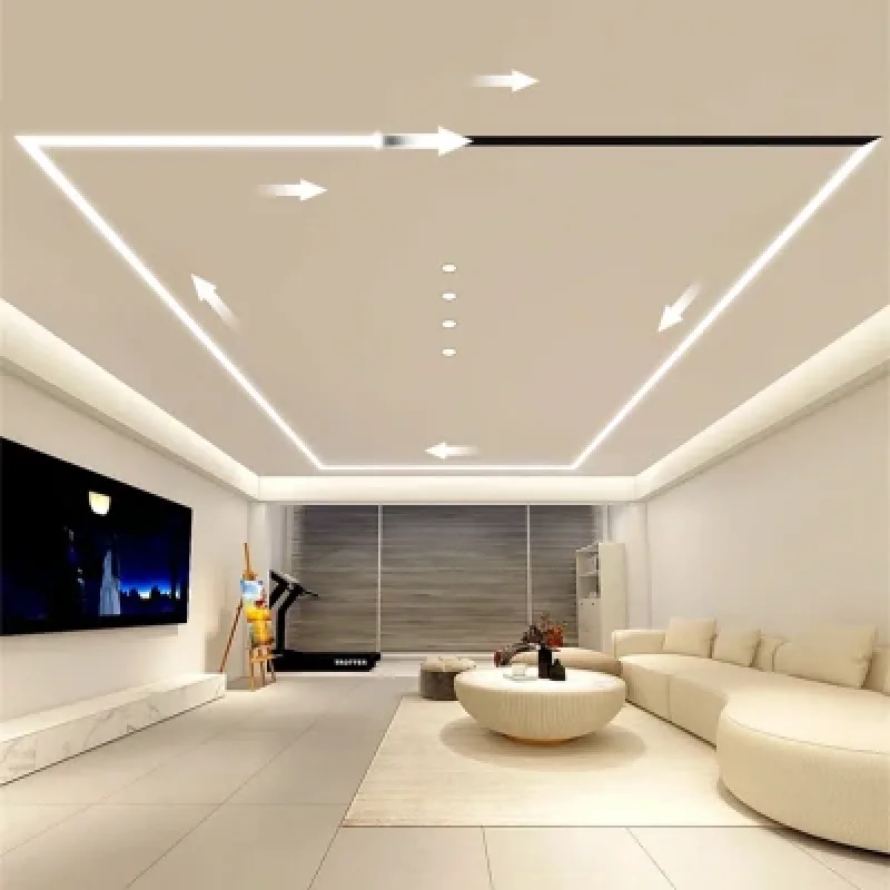 Guirlande Mouvement 24V- 8mm 10 Mètres + COMMANDE 6500k/3000k REF: GUIR24VMOV