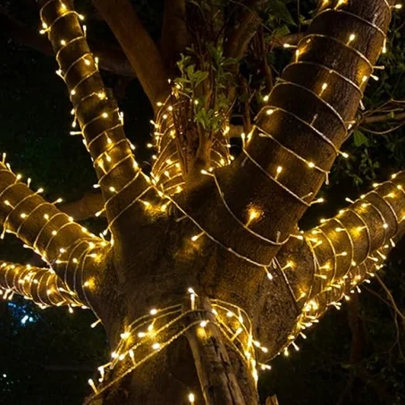 Guirlande De 10M 3000K