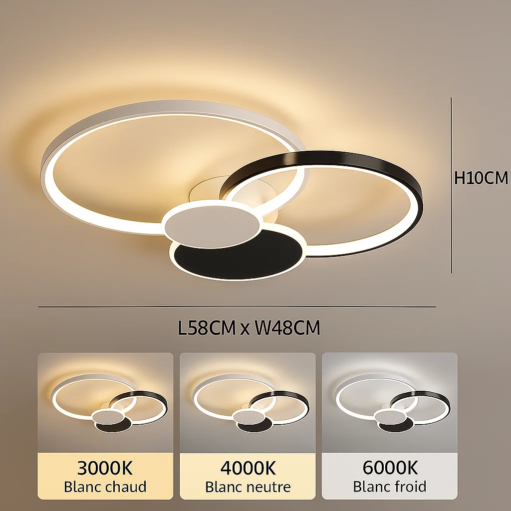 Plafonnier Double Anneau Noir Mat – Style Industriel & Moderne