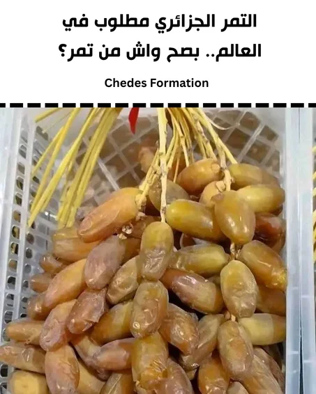 دورة الصناعات الصناعات التحويلية للتمور